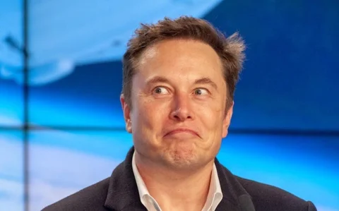 Elon musk neuralink monkey