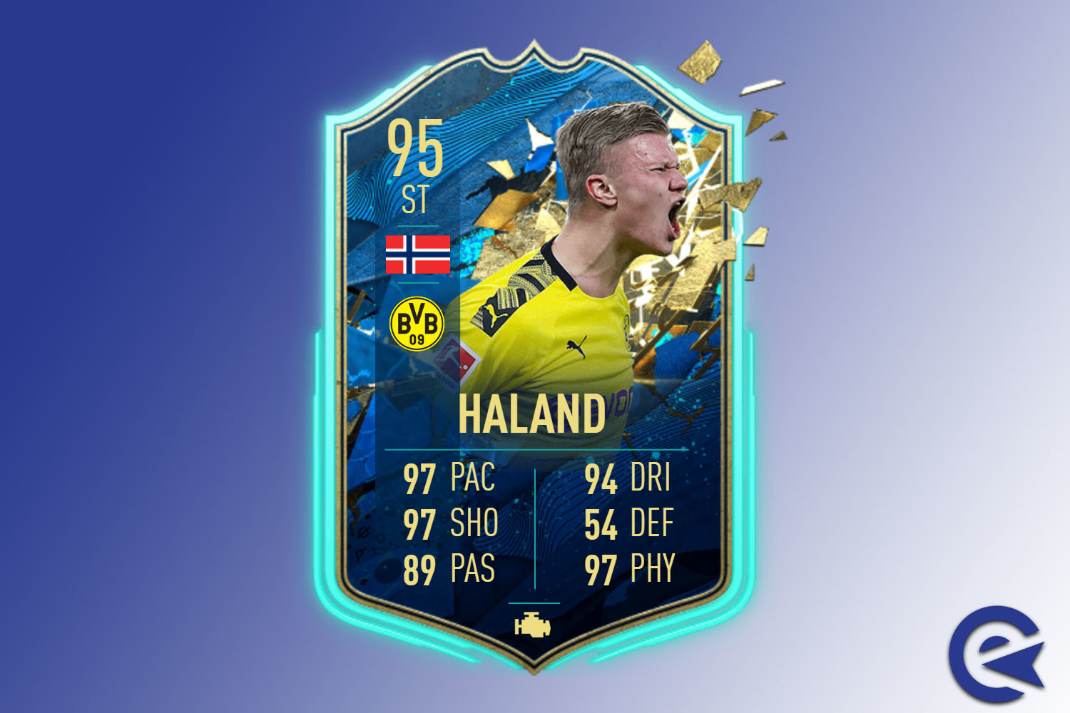 Erling haland