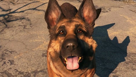 Fallout 4 dogmeat
