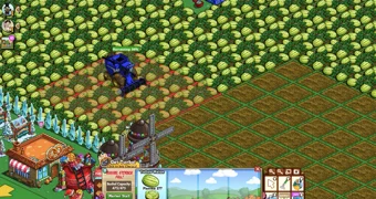 Farmville1