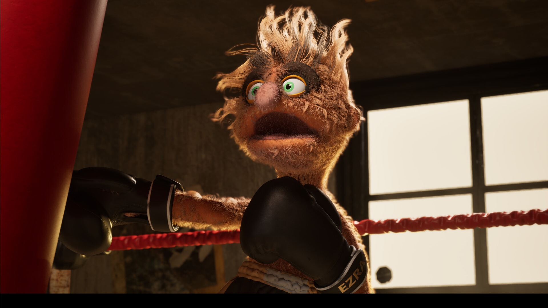 Felt that boxing 2