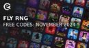 Fly rng codes november