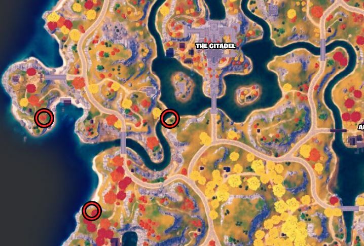Fortnite amie location 1