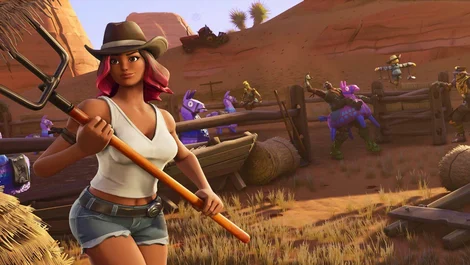 Fortnite calamity