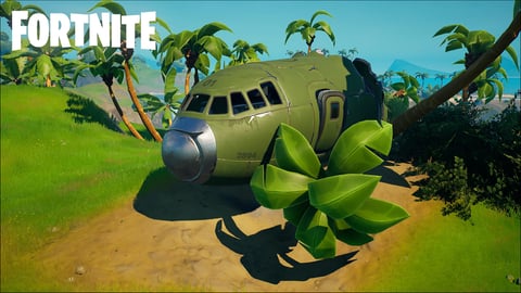 Fortnite crashed plane