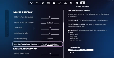 Fortnite social privacy