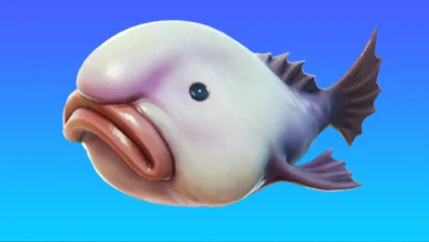 Fortnite stink fish