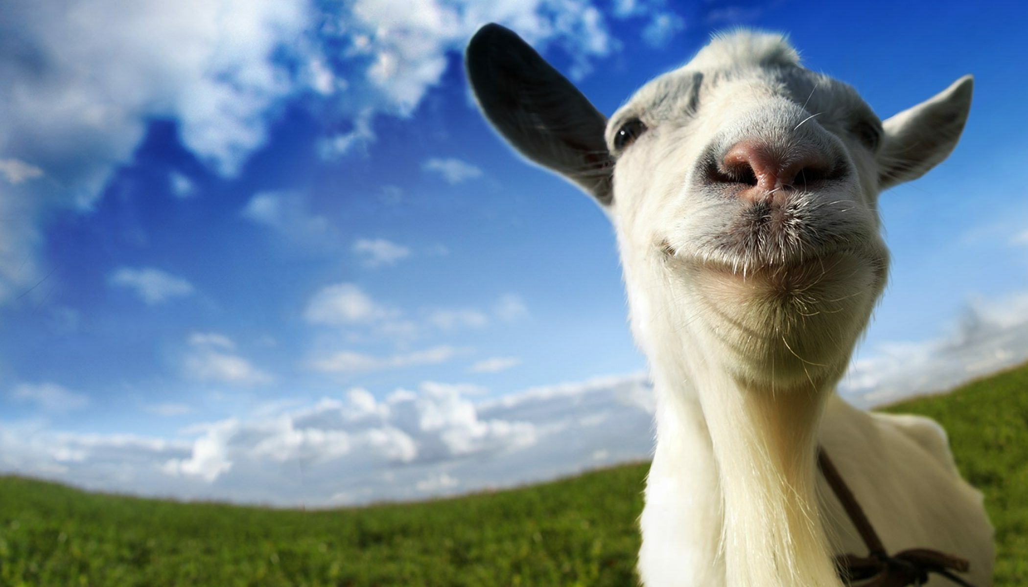 los-creadores-de-goat-simulator-3-olvidan-que-nunca-hubo-earlygame