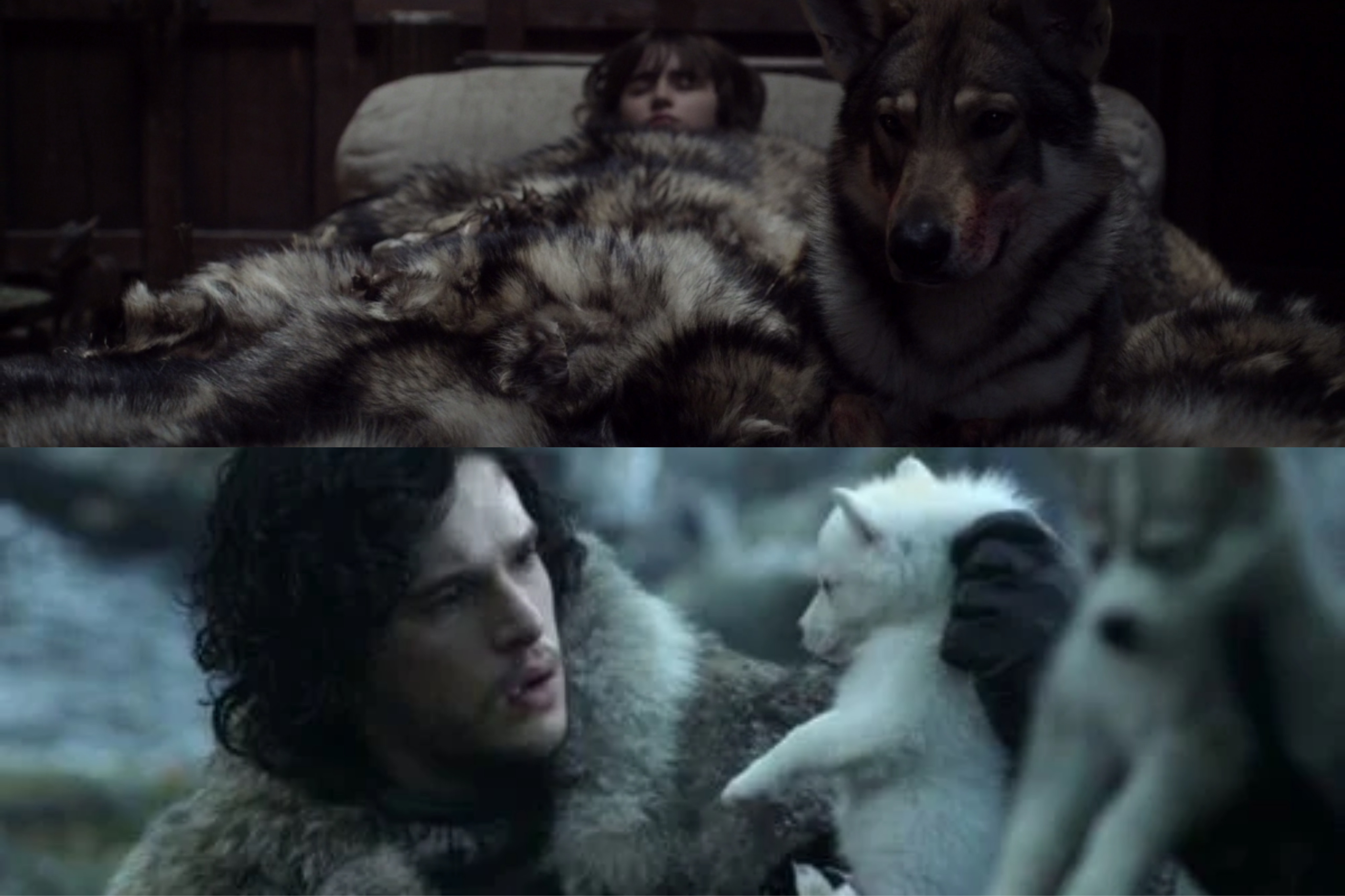 Got dire wolves jonsnow