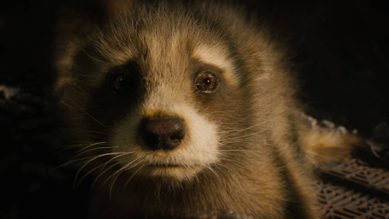 Guardians of the galaxy vol 3