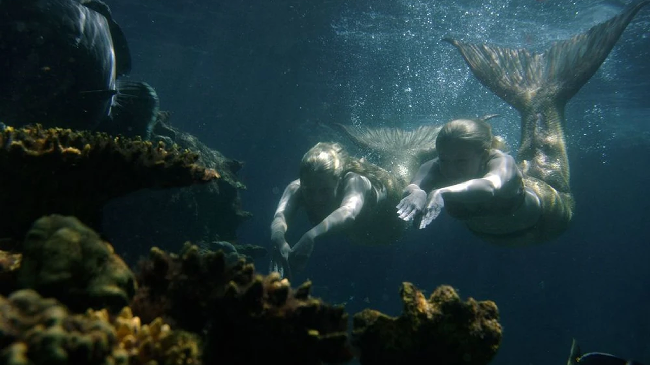 H2o underwater scenes