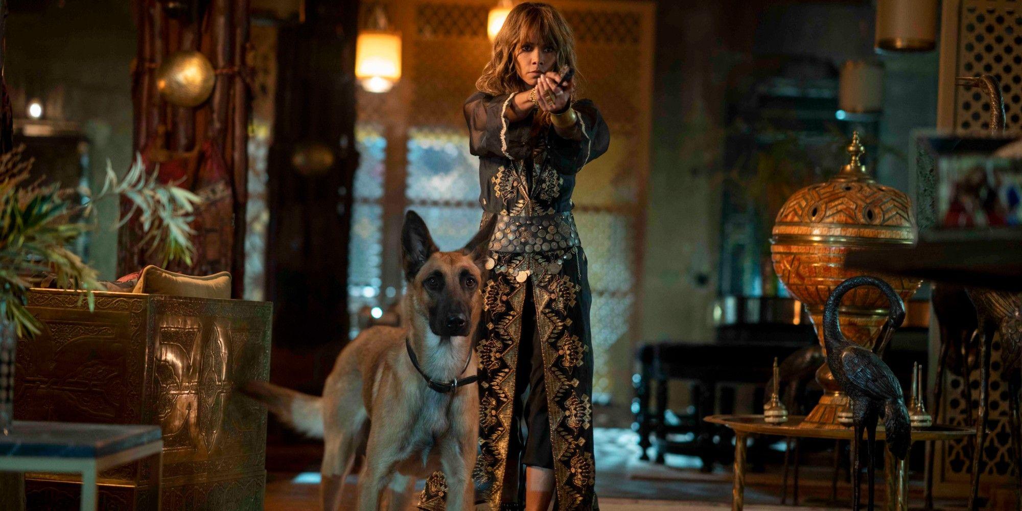 Mel Find Mel Animals Xxx Vidio - Halle Berry Working on John Wick Spin-Off | EarlyGame