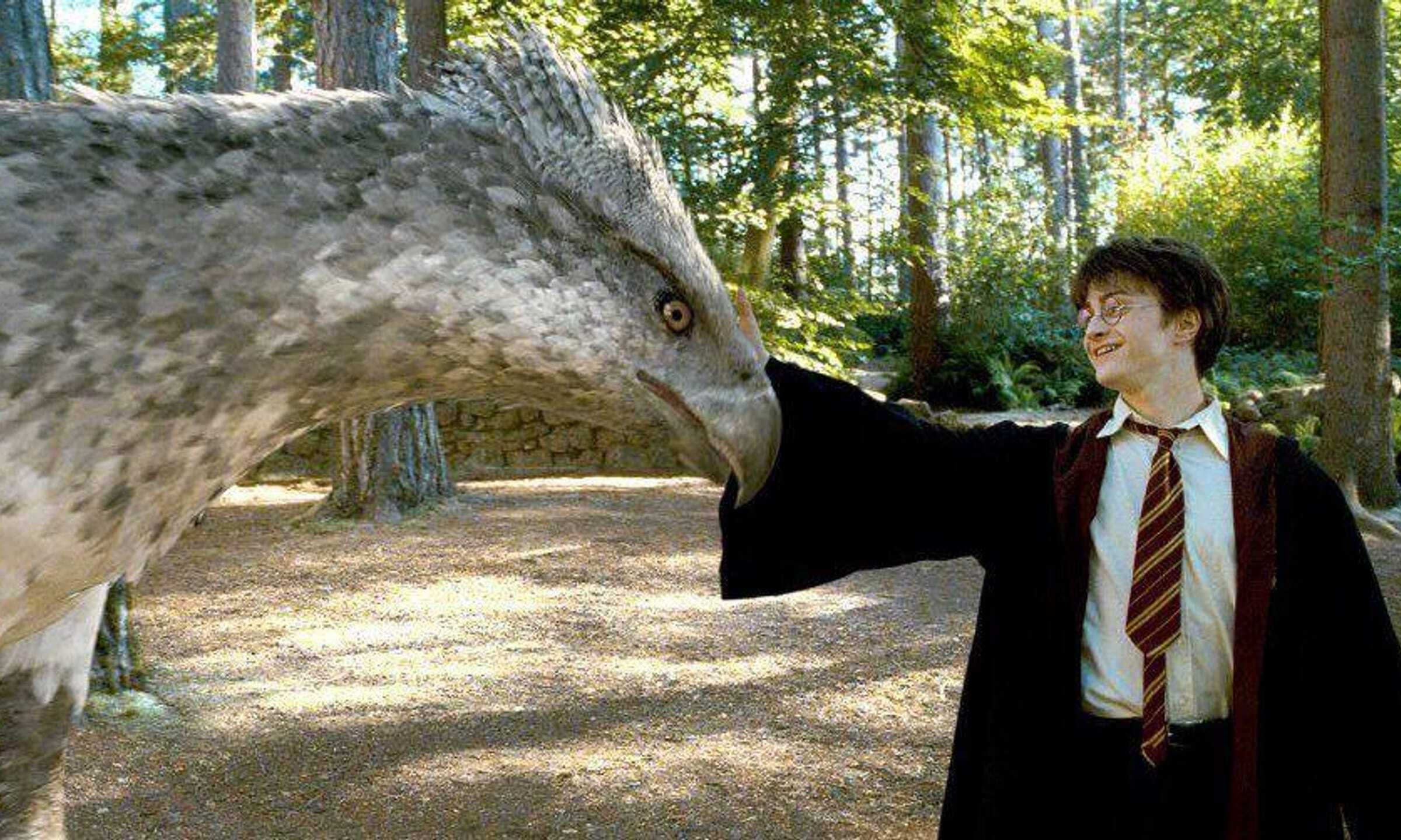 Haryy potter fact 1