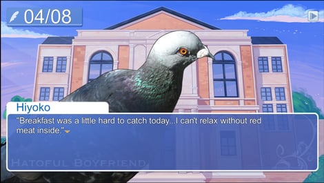 Hatoful boyfriend pidgeon