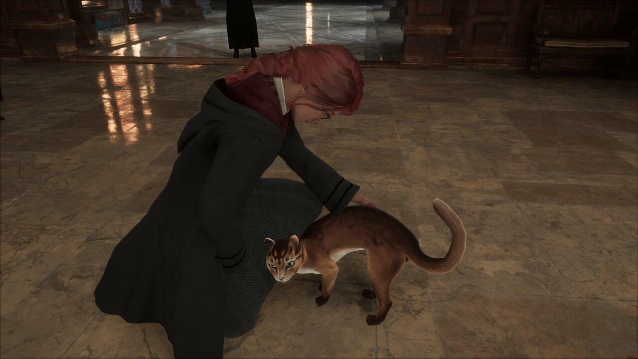 Hogwarts legacy cats