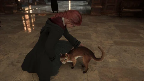 Hogwarts legacy cats