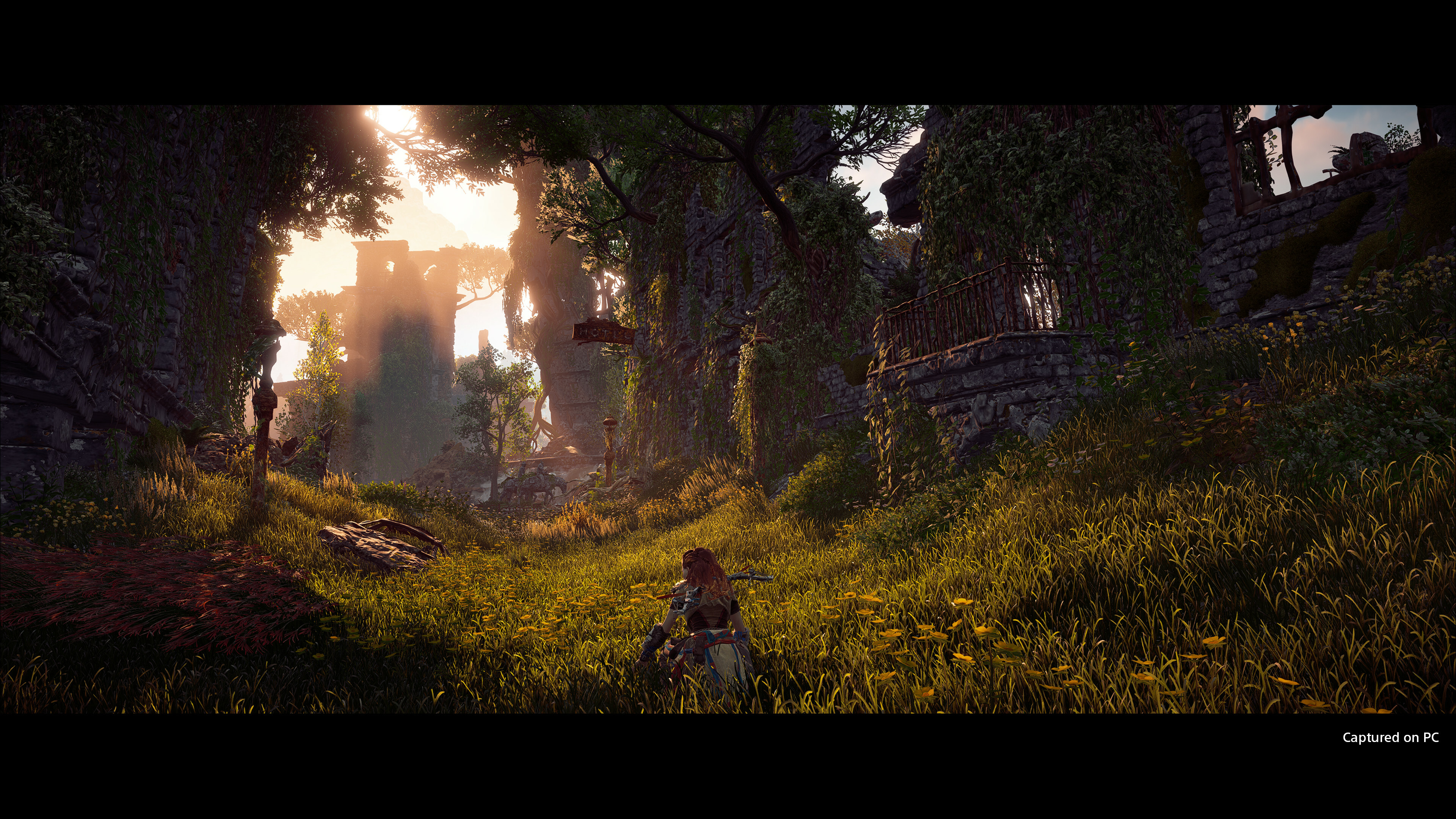 Horizon