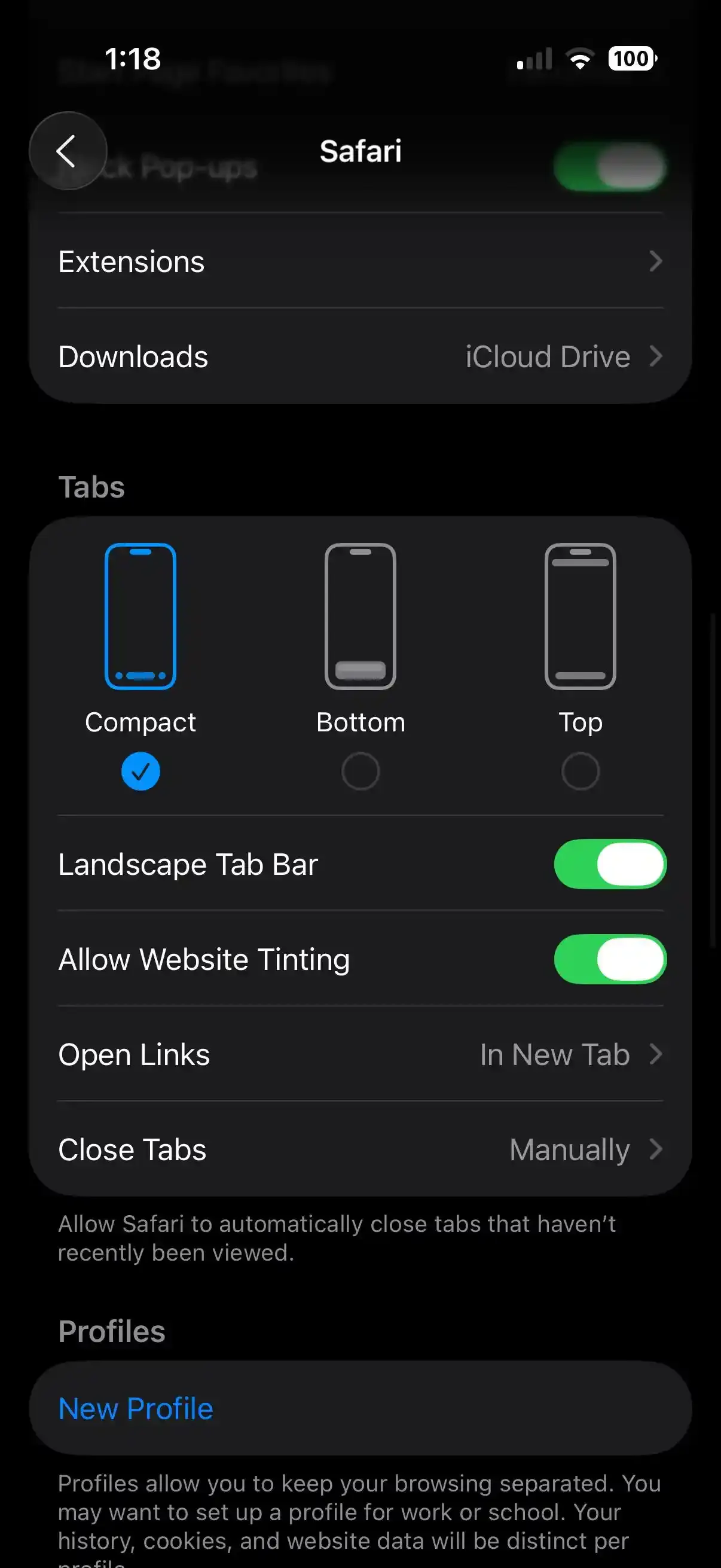 I Phone Safari Settings
