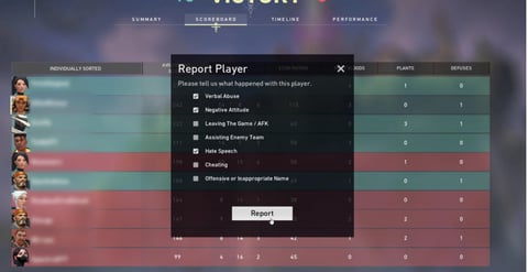 Ingame report