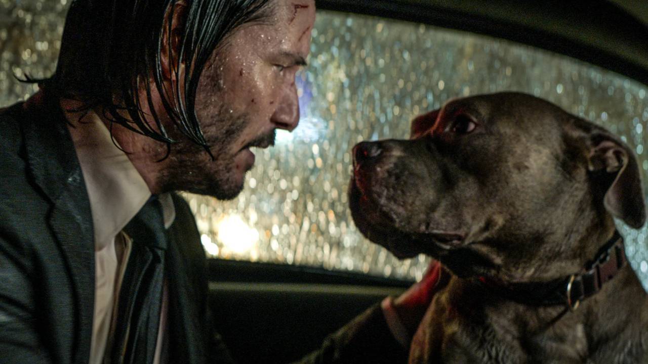 John wick doggo