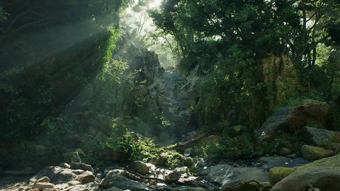 Jungle unreal engine