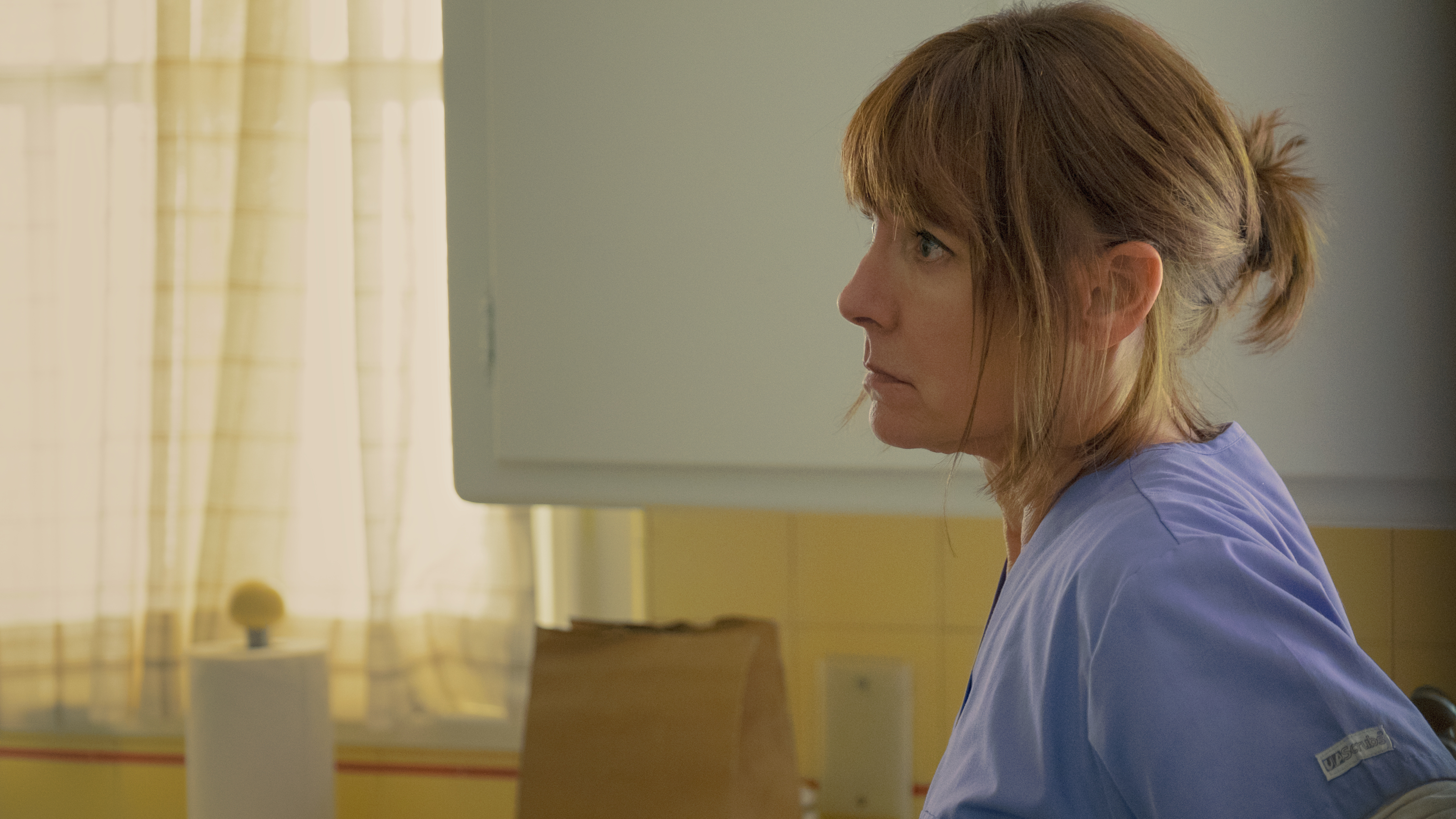 Laurie metcalf lady bird cropped processed by imagy