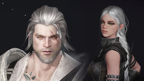 Lost ark witcher
