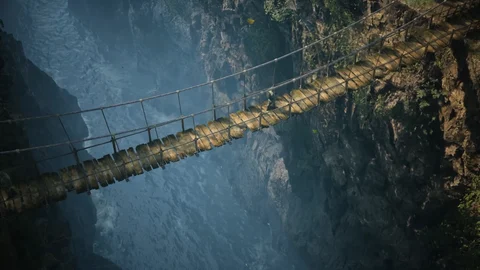 Mgs3 remake bridge