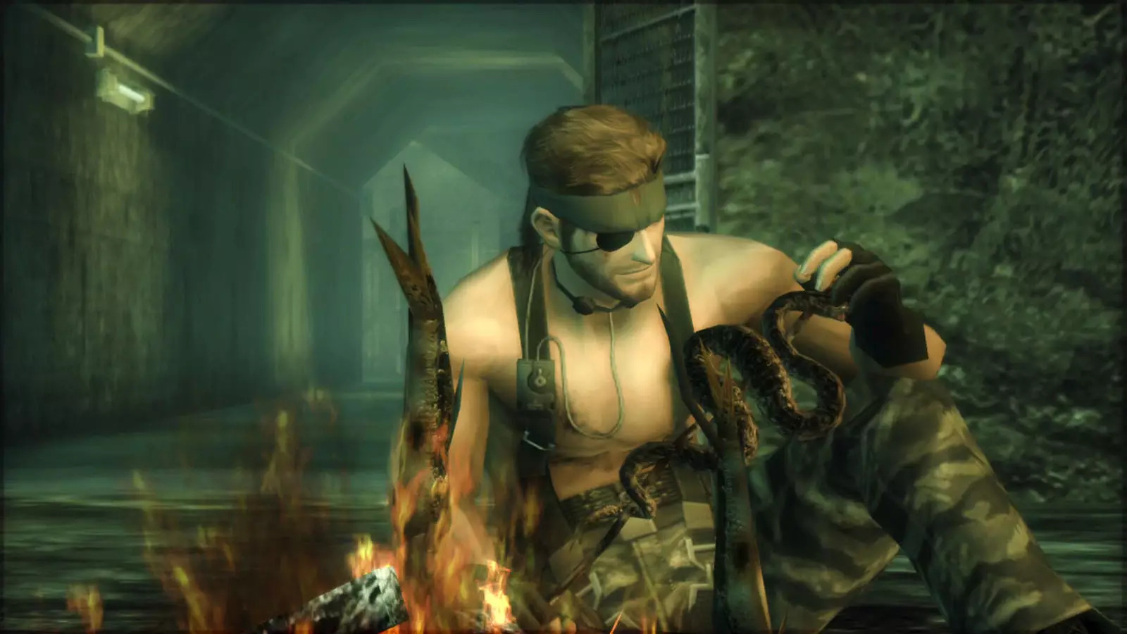 Mgs3