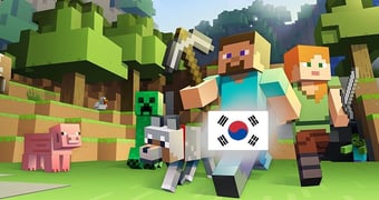 Minecraft adult south korea