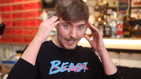 Mr beast lol