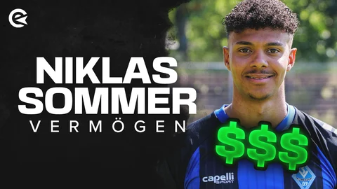 Niklas Wilson Sommer Portraet Gehalt You Tube Twitch