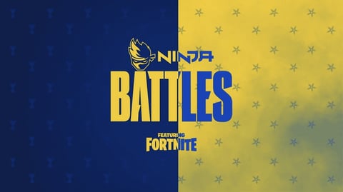 Ninja battles