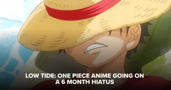 Onepiece hiatus