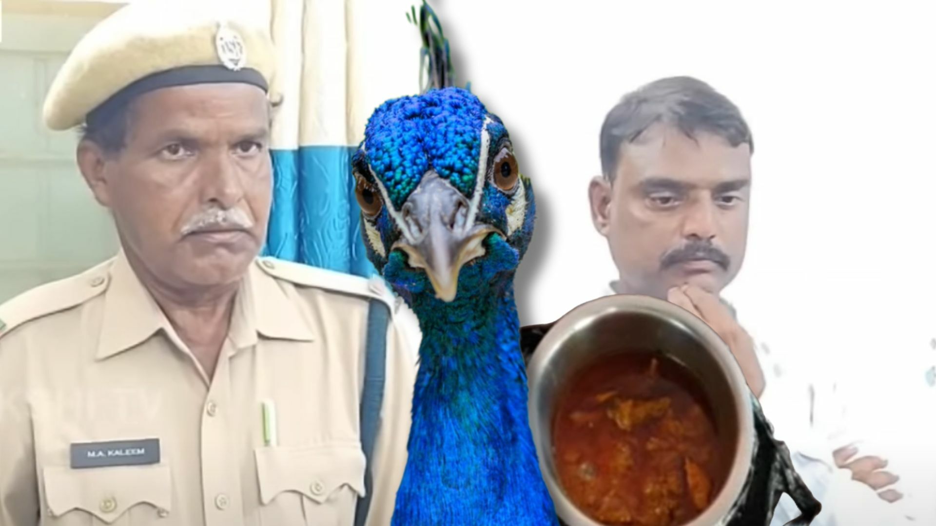 Indian YouTuber Arrested For Viral 'Peacock Curry' Video, Cooking National Birds Is Seemingly A No-Go