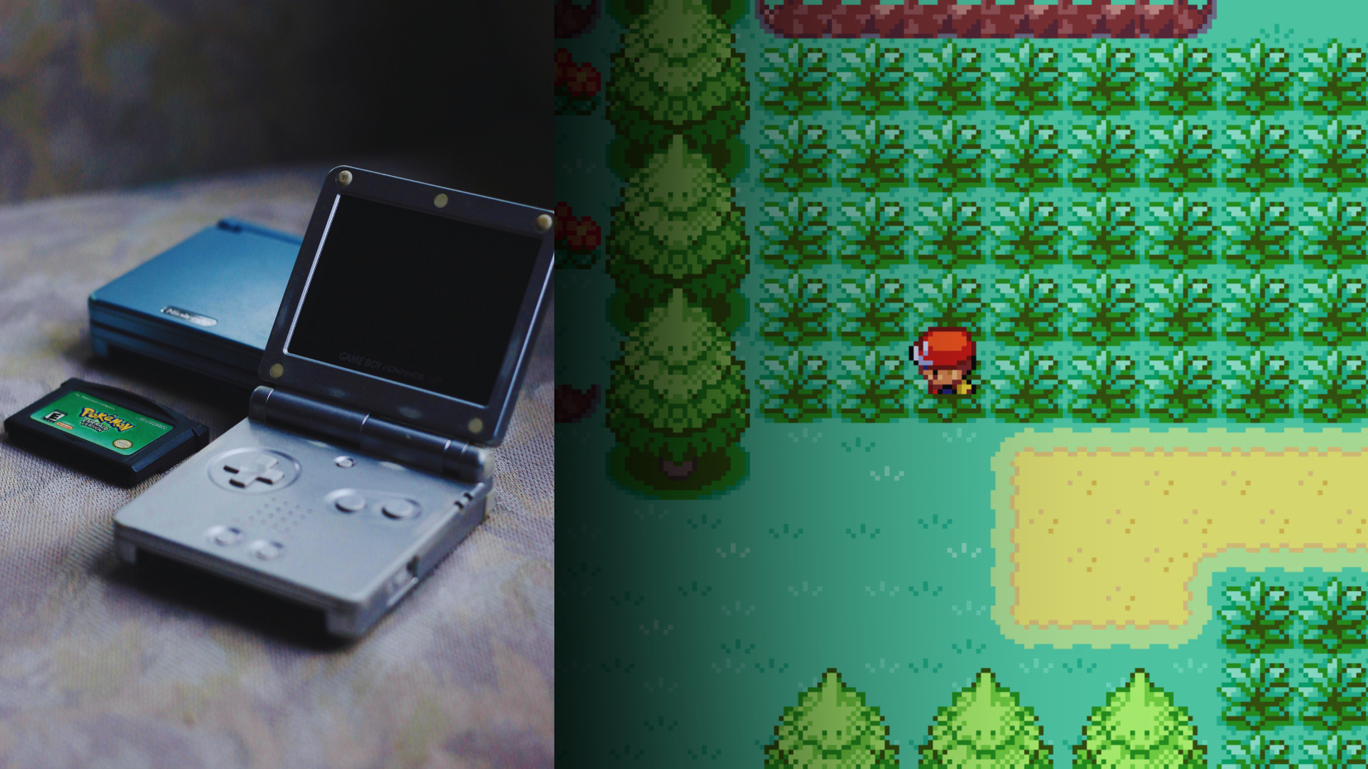 Pokemon