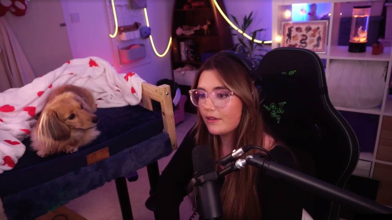 Poopernoodle plays Rivals with her dog