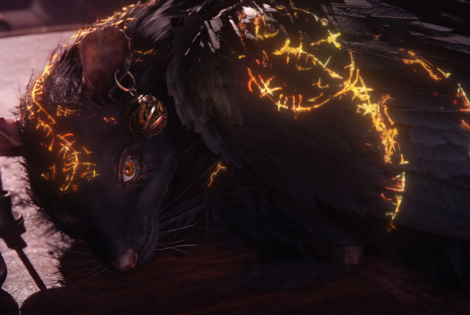 Rat