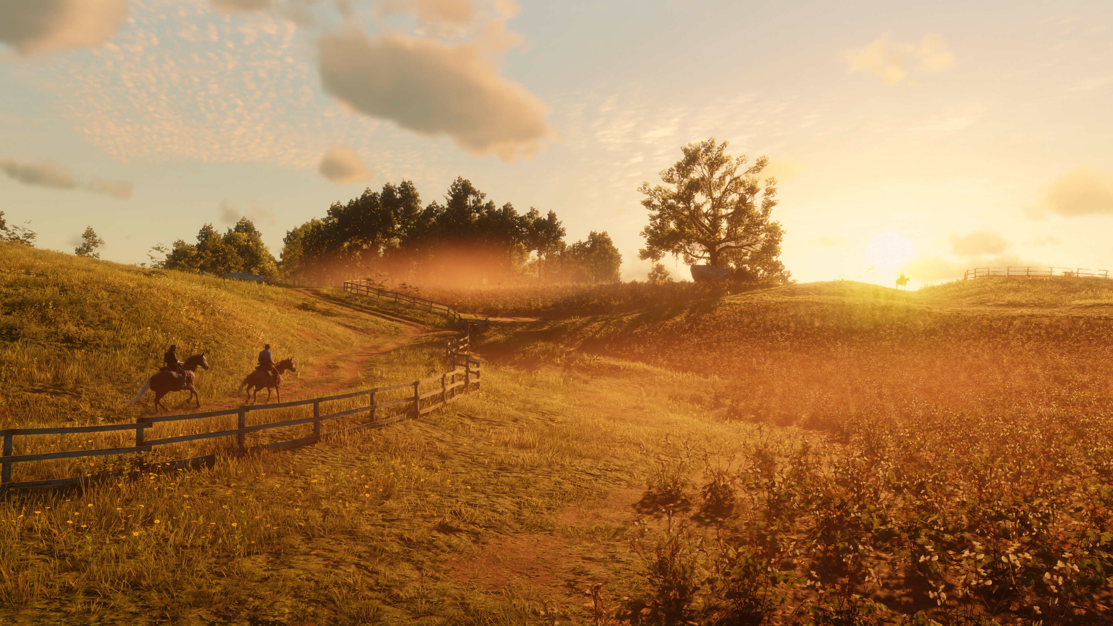 Red dead 2