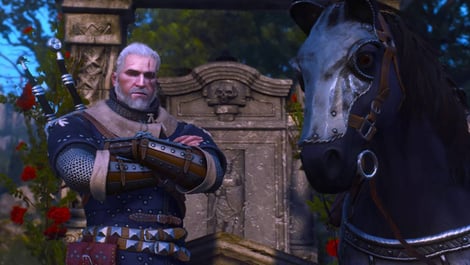 Roach witcher 3