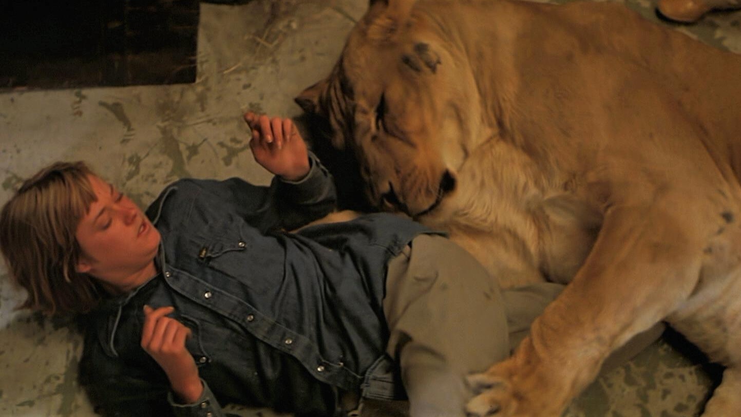 Roar 1981 2 1