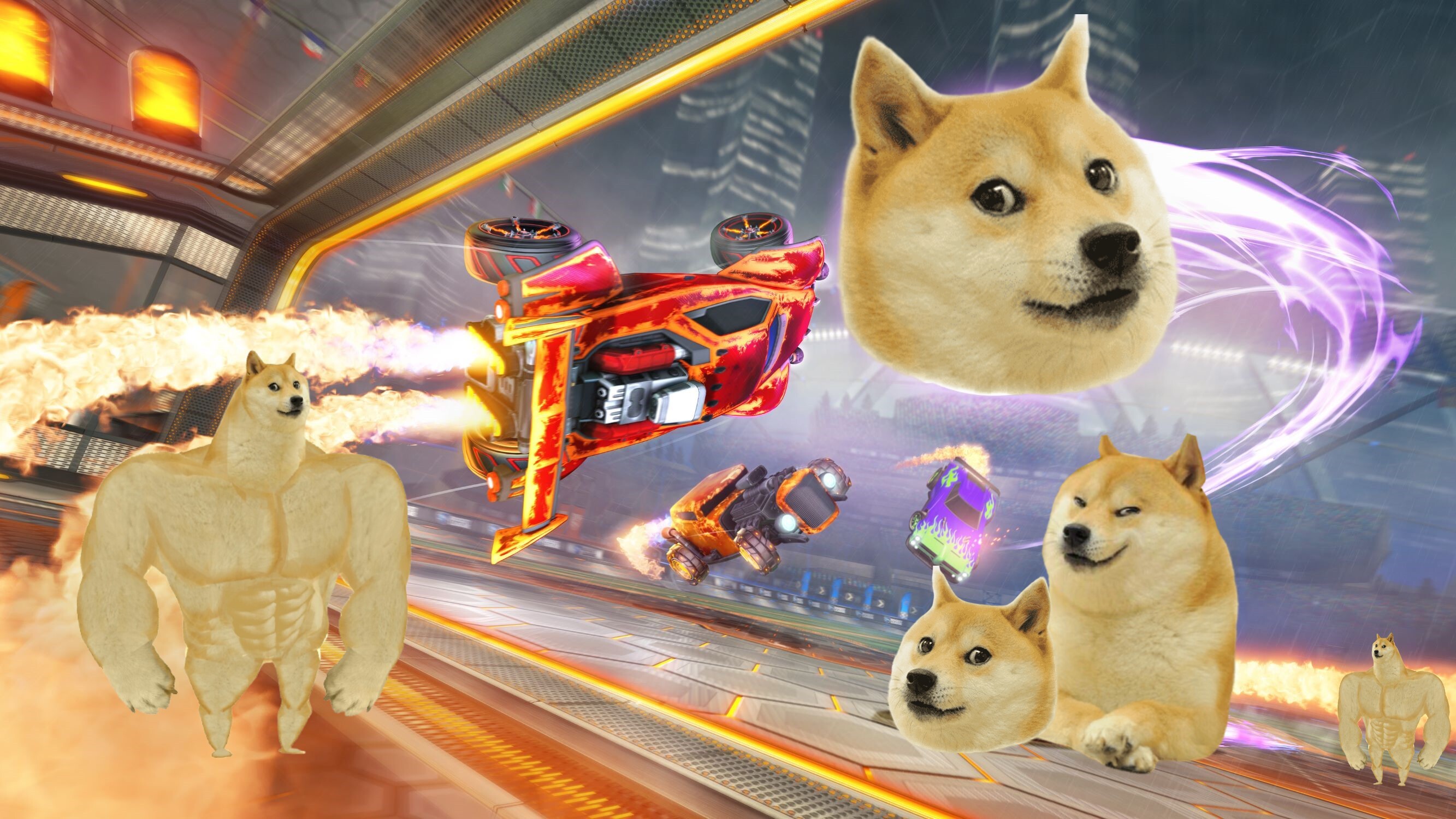 Rocket league oh my deals dog