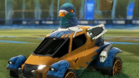 Rocket league funniest decals pidgeon