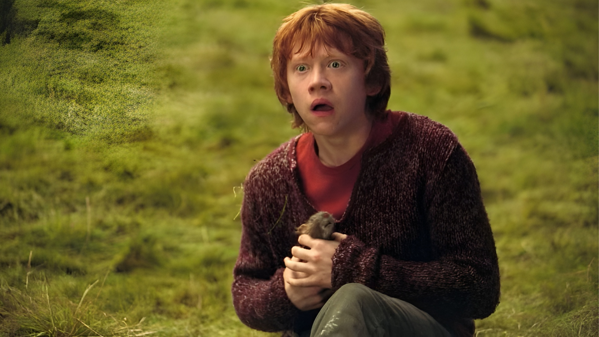 Ron weasley hp