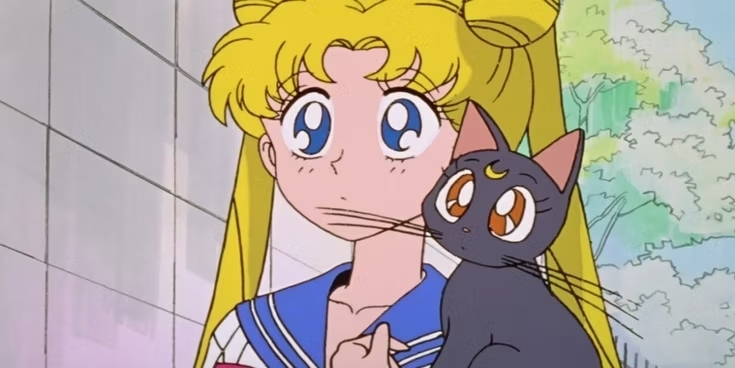 Sailor moon and luna