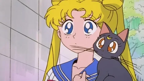 Sailor moon and luna