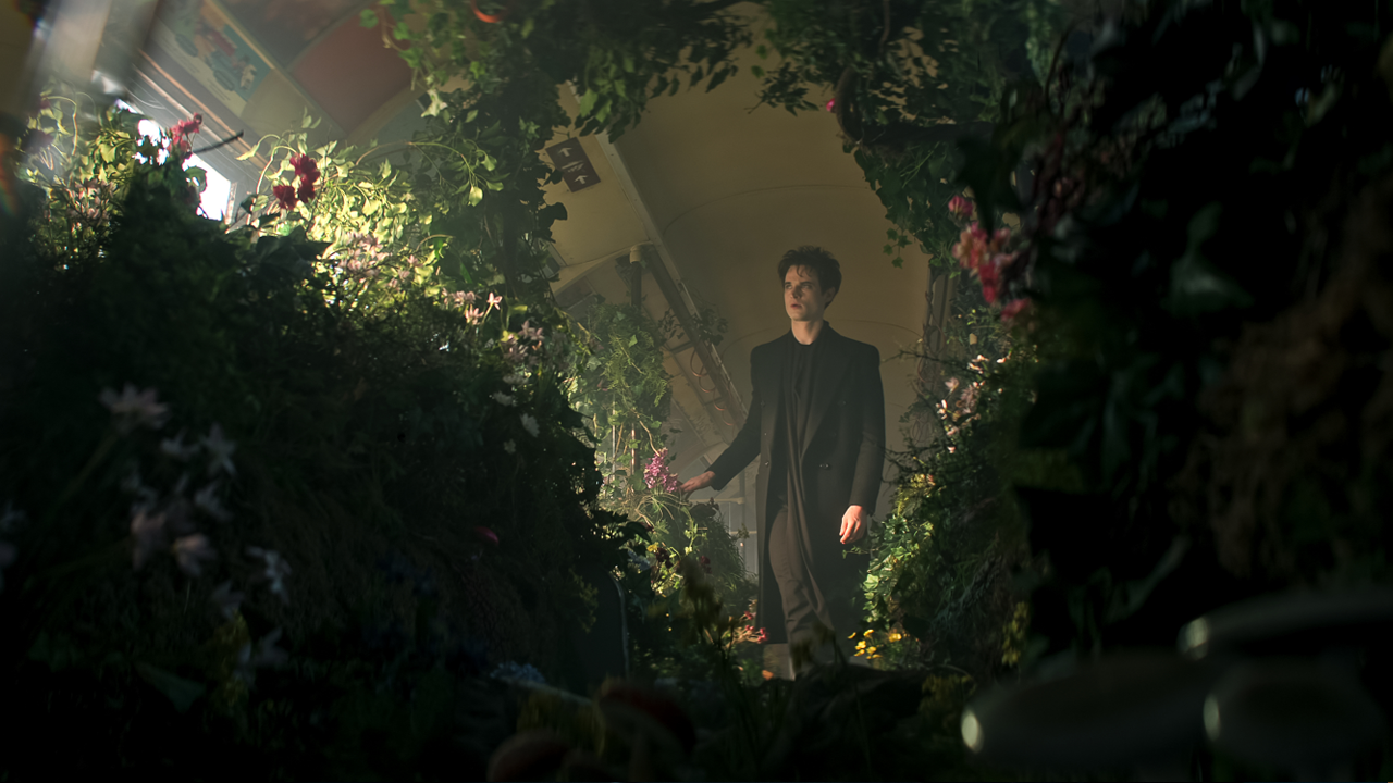 Sandman s2 garden