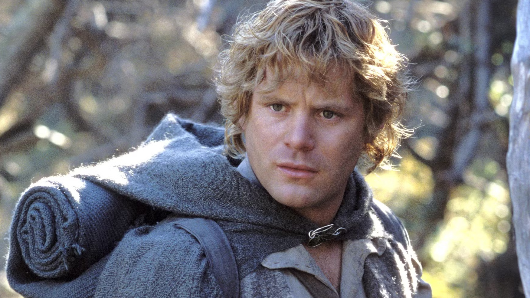 Sean astin lord of the rings