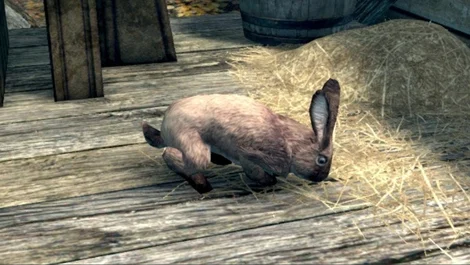 EarlyGame | The 10 Best Rabbits In Video Games