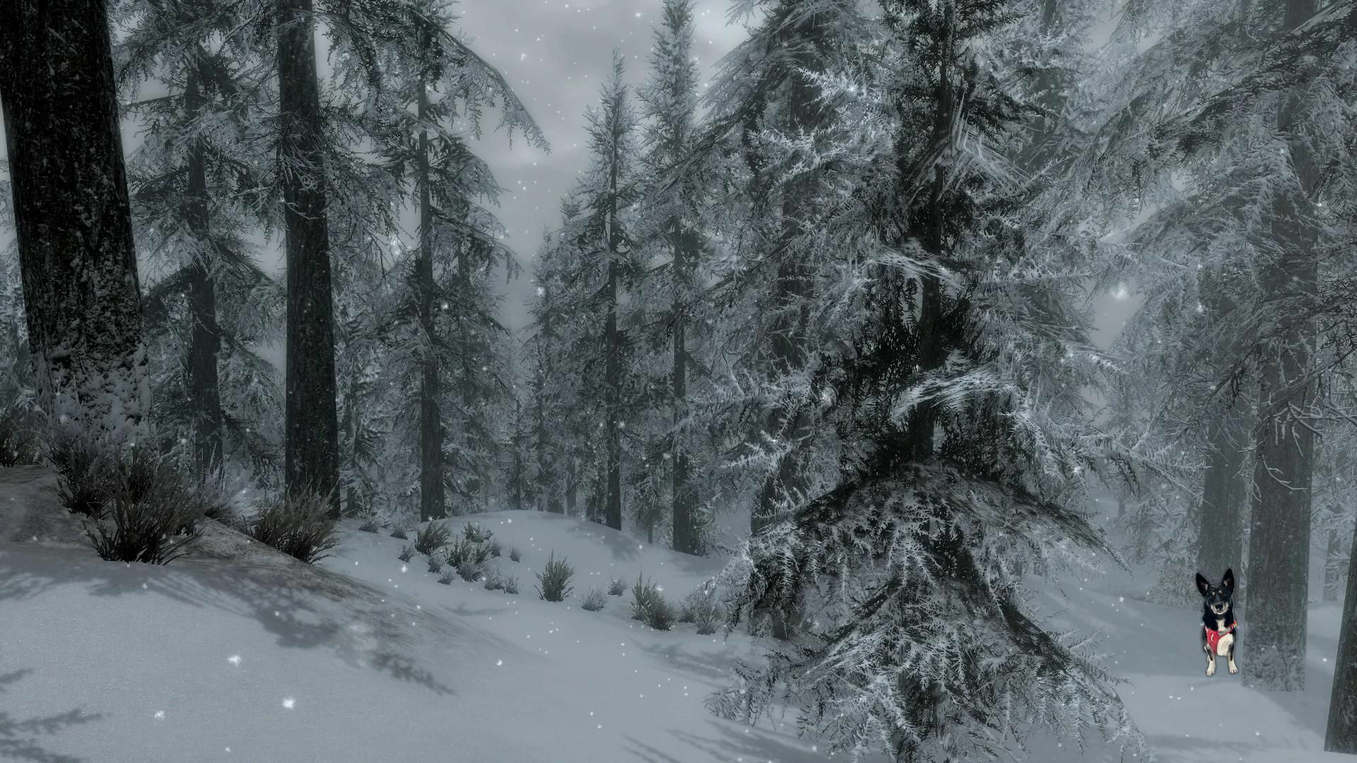 Skyrim